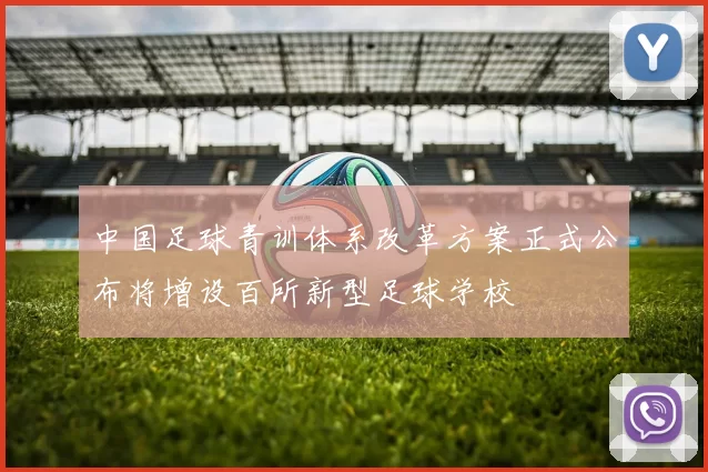 中国足球青训体系改革方案正式公布将增设百所新型足球学校