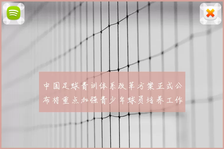 中国足球青训体系改革方案正式公布将重点加强青少年球员培养工作