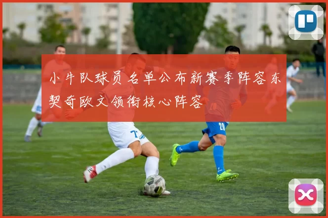 小牛队球员名单公布新赛季阵容东契奇欧文领衔核心阵容