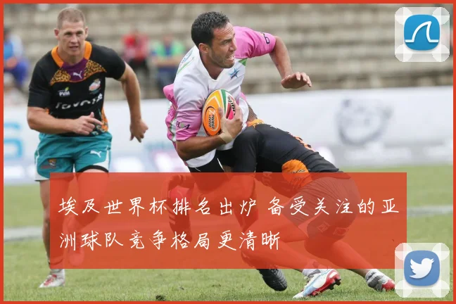 埃及世界杯排名出炉 备受关注的亚洲球队竞争格局更清晰